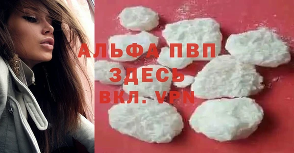 спиды Абаза