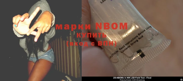 индика Алексин
