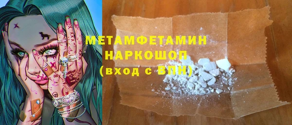 индика Алексин