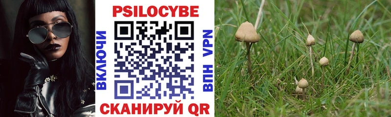 Галлюциногенные грибы мухоморы  Брюховецкая 