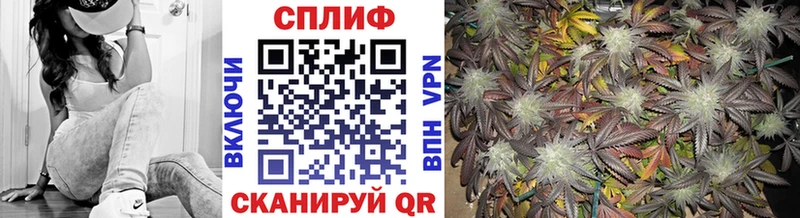 Марихуана конопля  Брюховецкая 